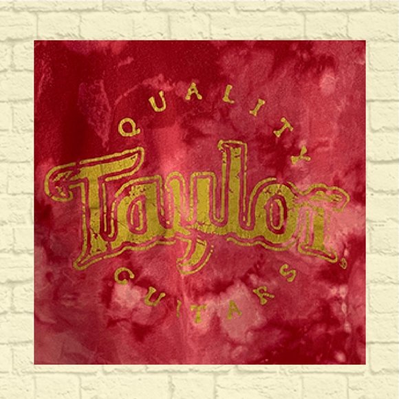TAYLOR GUITAR TEE - Picture 2 of 3